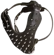 Customize Spike Dog Harness