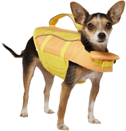 Frisco Ripstop Dog Life Jacket