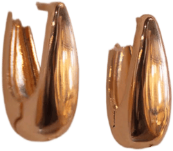 Gold Hoop Earrings