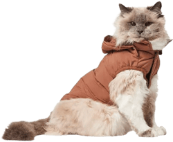 Frisco Mediumweight Quilted Dog & Cat Puffer with Removable Hood