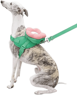 Vetreska Flora 3-in-1 Dog Backpack & Harness Set