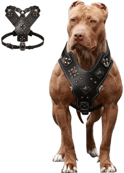 Pet Artist Heavy Duty Retro Rivet Spiked Studded Dog Harness