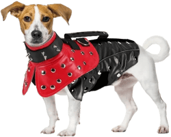 Adjustable Dog Anti-Coyote Vest