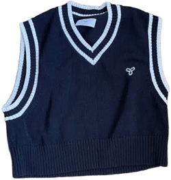 Tna Aritzia Never Worn Vest