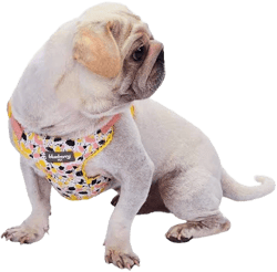 Blueberry Pet Made Well Floral Print Dog Harness Vest