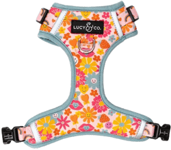Lucy & Co. The Y2K Baby No- Pull Dog Harness