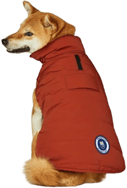 Blueberry Pet Waterproof Quilted Dog Puffer Jacket