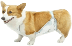 Women's Dog Protection Vest