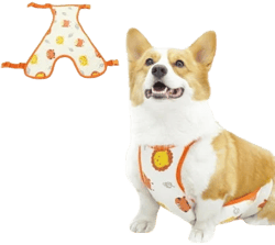 Dog Protection Vest
