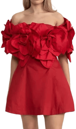 Off-Shoulder Mini Dress with Floral Accents