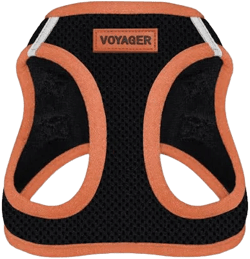 Step-in Air Pet Harness