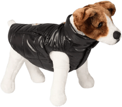 X Polda Padded Dog Vest In Black