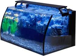 hygger Horizon 8 Gallon LED Glass Aquarium Kit for Starters with 7W Power Filter Pump, 18W Colored led Light, Wide View Curved Shape Fish Tank with Undetachable 3D Rockery Background Decor