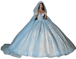 Rachel Allan Quinceanera