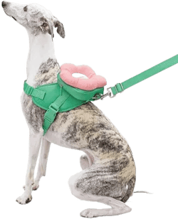 Vetreska Flora 3-in-1 Dog Backpack & Harness Set