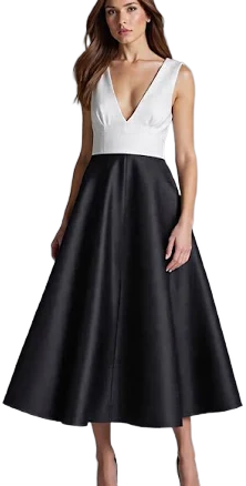 Zapaka Women's V Neck A-Line Sleeveless Satin Evening Dress