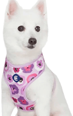 Garden Floral Dog Harness Vest