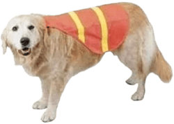 Unbranded Dog Safety Vest