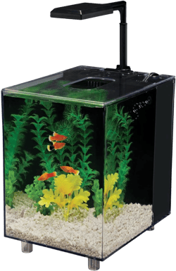 PENN-PLAX Water-World Prism Nano Aquarium Kit – Includes Integrated Filter, 2 Filter Media Cartridges, Telescoping LED Light, and Tinted Cover – 2 Gallons – Black 2 GAL
