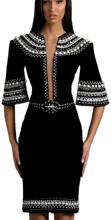 Embellished Trim Cocktail Dress