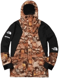 Supreme x The North Face Crossover FW16 Interchange Jacket