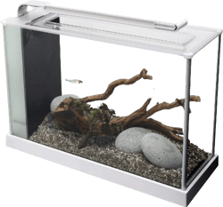 Fluval Spec V Aquarium Kit, 5-Gallon, White