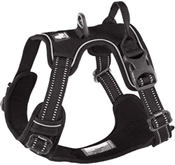 Chai's Choice Premium Outdoor Adventure Dog Harness