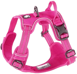Chai's Choice Premium Outdoor Adventure Dog Harness