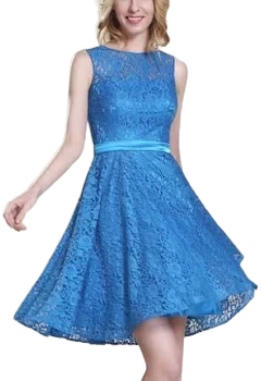 Dorris A-Line Bateau Sleeveless Lace Zipper Dress