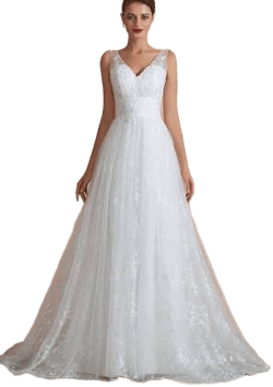 Elegant Lace V-Neck A-Line Wedding Dress