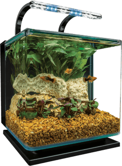 Marineland Contour 3 Aquarium Kit 3 Gallons, Rounded Glass Corners, Includes LED Lighting 3-Gallon