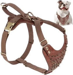 Spiked Studded Genuine Leather Dog Harness Training Vest With Handle