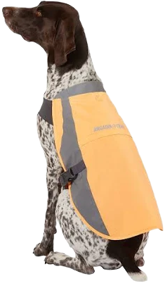 Arcadia Trail Dog Safety Vest