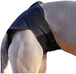 Healers Rear Anxiety Vest for Dogs
