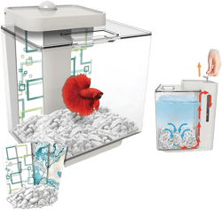 1.35 Gallon Betta Aquarium Provides no Mess, no Stress Maintenance and Includes decoractive Double-Sided Background and Pebbles