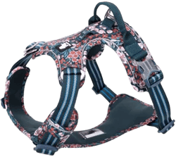 Chai's Choice Premium Floral Dog Harness