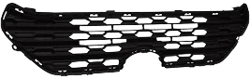 Toyota RAV4 Grille TO1200438