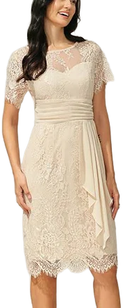 Women's Regular Fit Lace Knee Length Dress
