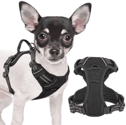 Magshion No Pull Mesh Dog Harness