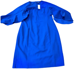 Roz & Ali Ruffle Sleeve Dress