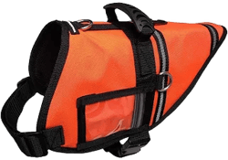 Service Dog S&R Style Vest