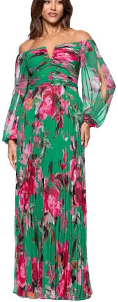 Alara Women's Floral Print Long A-Line Chiffon Maxi Dress