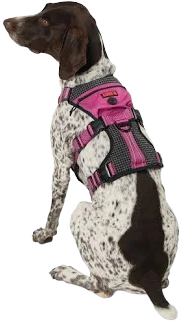Kong Safety Dog Harness