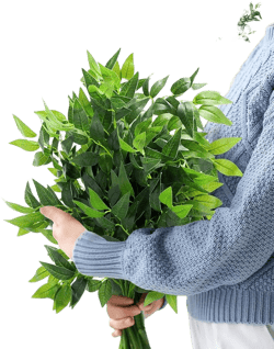 Xinnun 50 Pcs Artificial Italian Ruscus Greenery Stems 26.8 Inch Hanging Spray Fake Greenery for Centerpieces Faux Leaves Swag for Floral Arrangement Wedding Bouquet Garland Arch Home Decor