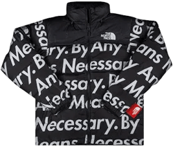 Supreme The North Face By Any Means Nuptse Jacket