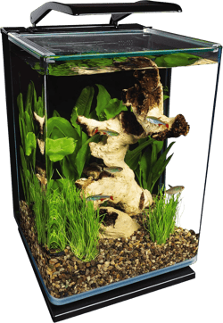 Marineland Portrait Glass LED Aquarium Kit, 5 Gallons, Hidden Filtration,Black