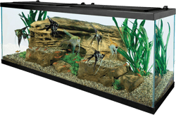 Tetra 55 Gallon Aquarium Kit with Fish Tank, Fish Net, Fish Food, Filter, Heater and Water Conditioners