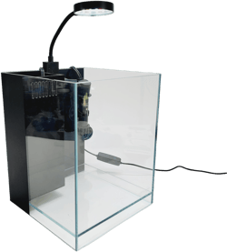 5 Gallon All in One Aquarium Kit by Lifegard Aquatics