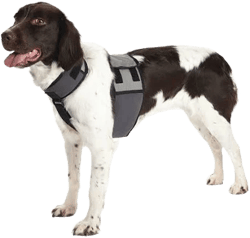 Cooler Dog Cooling Vest and Collar