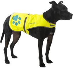 SafetyPUP XD Urban Reflective Dog Vest